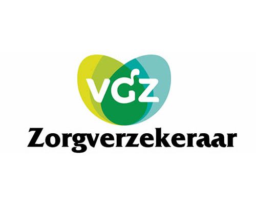 Netto Reizen kan niet zien Inkoopbeleid VGZ Hulpmiddelen VGZ 2019 - Haarwerk Specialist  Brancheorganisatie Nederland